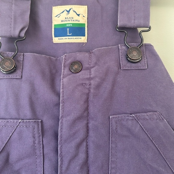 Blue Mountain Kids Canvas Bib Chore Overalls Quilted Insulated Durable Y14-16 - Picture 2 of 15